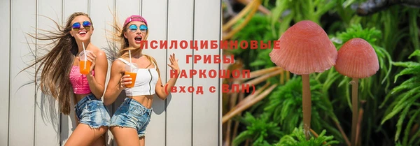 прущая мука Абинск
