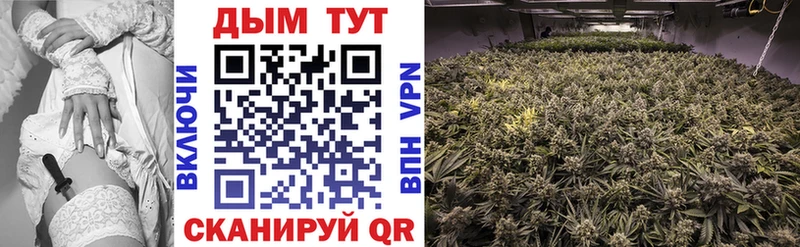 где купить наркоту  Нефтегорск  Канабис Ganja 